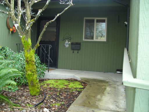 home adaptions - sharon krueger